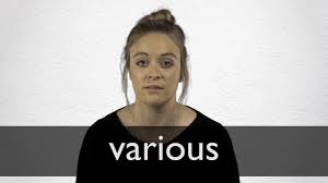 'for various reasons they had never considered having children'. Various Definition And Meaning Collins English Dictionary