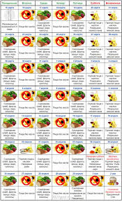 Чого ні в якому разі не можна робити на пасху? Velikij Pist 2021 Yakogo Chisla Koli Pochinayetsya Vorozhinnya