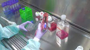 Maybe you would like to learn more about one of these? Passaging Cells Cell Culture Basics Youtube