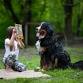 Read to a Therapy Dog event image