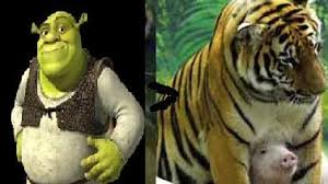 Oosthuizen (disambiguation) — oosthuizen is a village in the dutch province of north holland. Shrek Jbabsports Sports Inspiration News And Business