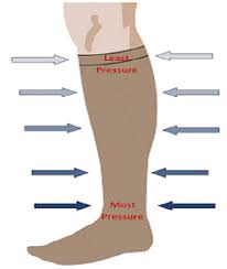 Guide To The Best Compression Socks For Men With Pictures