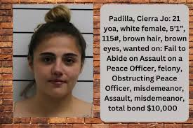 New Podcast By Sheriff Slaughter Aims To Unite Our Community