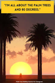 Palm Tree Quotes For Instagram Itsallbee Solo Travel Adventure Tips Cool Photos Cool Pictures Love Photos
