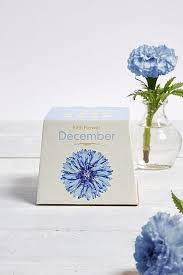 Nouveautes Maison Maison Cadeaux Urban Outfitters Fr Birth Flowers December Birth Flower Plant Markers