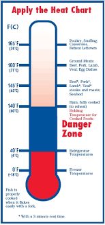 32 Unusual Safe Meat Cooking Temperatures Chart