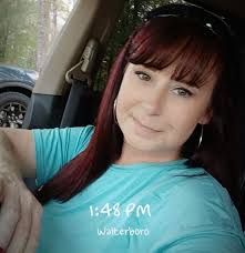 What is safe to give my dog to calm him for fireworks?