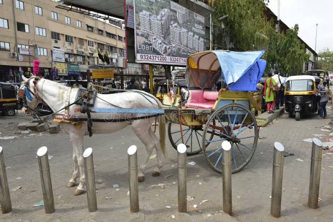 White Horse with Cart and Auto Rickshaw Editorial Photo - Image of transportation, cart: 73024911