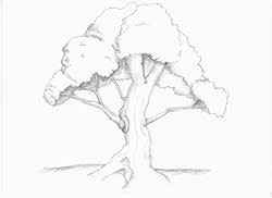 Check spelling or type a new query. Drawing Trees How To Draw Trees Branches Leaves With Drawing Lessons Step By Step Techniques For Cartoons Illustrations