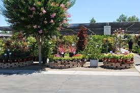 Almaden Valley Nursery Gift Shop Small Nurseries Valley Nursery Nursery Gift