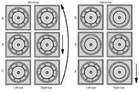 Depth Perception Binocular Integration And Hand Eye