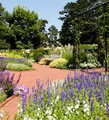 Imagine your ideal garden and outdoor living space. Plant Profile Unusual Annuals In The Home Gardening Center Plant Talk