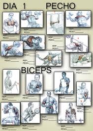 printable dumbbell exercises online charts collection