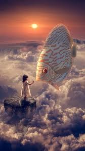 You can also upload and share your favorite surreal backgrounds. Fantasy Girl Fish Clouds Sky Iphone 6 Plus Wallpaper Surreal Artwork Surreal Art Anime Fantasy