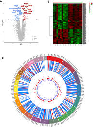 Omar arif page at the bullpen wiki. Exploring Celiac Disease Candidate Pathways By Global Gene Expression Profiling And Gene Network Cluster Analysis Scientific Reports