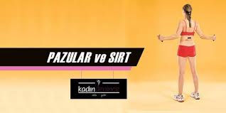 pazulari ve sirti calistiran hareket resim egzersiz koltuklar saglikli beslenme