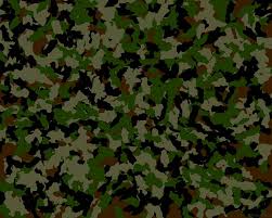 Discover our large selection of thrasher, hoodies, graphic tees, joggers, jeans, pants, outerwear, shoes, skateboards, longboards, decks, scooters and more. Camouflage 1080p 2k 4k 5k Hd Wallpapers Free Download Wallpaper Flare