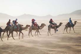 Introduction to an interdisciplinary encounter. Morocco Desert Tours Atlas Mountains Guide