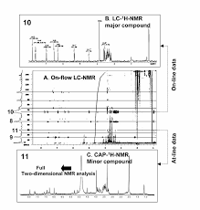 Image result for Jamesbrittenia fodina × huillana