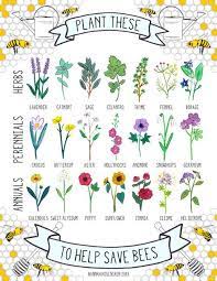 With showy purple spikes of flowers and leaves that resemble clumps of grass, the blazing star makes an interesting addition to any perennial garden. Plants Bees Love Google Search Bee Friendly Plants Bee Friendly Garden Plants