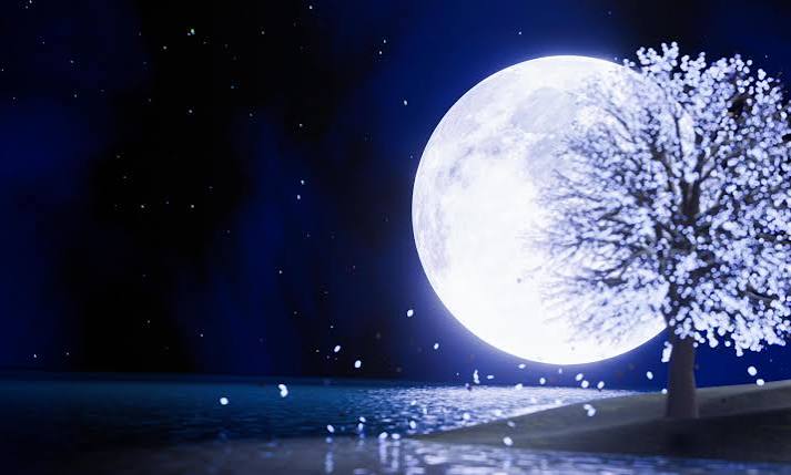full blue moon In the night sky there are stars in the sky. Super Moon in  the middle of the sea with reflections on the water surface. Blurred  fantasy trees glowing leaves