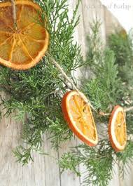 Dried Orange Garland Outdoor Christmas Decorations Outdoor Christmas Natural Christmas