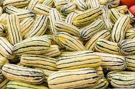 Check spelling or type a new query. How To Grow Delicata Squash Garden Tabs