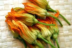 Squash Blossoms Stuffed Or Breaded And Fried Or Both These Are Delicious And In Season Beginning In May Squash Blossom Squash Flowers Zucchini Flowers