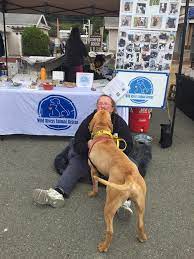 Check spelling or type a new query. Our Dogs Are Stars Here At Dog Wild Rivers Animal Rescue Facebook