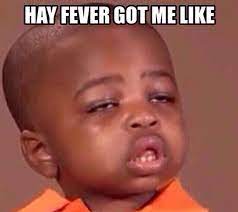 When It S That Hay Fever Season Nurse Memes Humor Medical Humor Nurse Humor