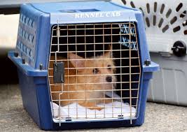 If the dead animal is on the public right of way, call the local public works department for removal. 104 Dogs Rescued From Lompoc Home Sent To Local Statewide Shelters Local News Santamariatimes Com