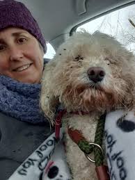 Lost Dog in Silver Peaks Community, Colorado