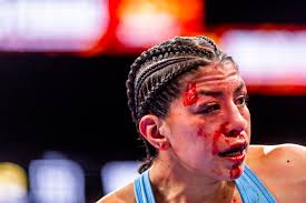 Super Fight Sunday features Claressa Shields, Leon Lawson III among nine  bouts in Flint