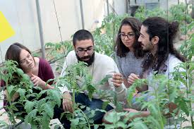 Jump to navigation jump to search. Https Www Aub Edu Lb Fafs Documents Annualreports Annual 20report 202016 2017 Pdf