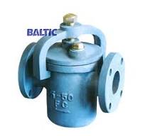 Cast Iron Basket Strainer, 50A, CL125, JIS, FF Flanged Ends