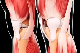 Related posts of muscles and bones in human body. Bones Muscles And Joints Healthdirect