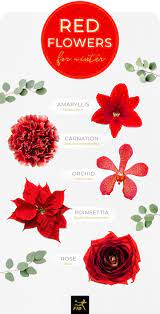 In life, when you witness some flowers, it should remind you of the importance of working bright and putting effort n what will work best on your side. 40 Types Of Red Flowers Ftd Com