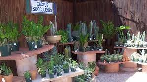 One north scottsdale has all the features you need in the scottsdale area. Berridge Nurseries North Scottsdale Retail General Phoenix New Times