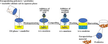 In mass communications, fareez shah specialises in concept development, content creation and has garnered an extensive network and experience in business development over the. Frontiers Extending Viability Of Bifidobacterium Longum In Chitosan Coated Alginate Microcapsules Using Emulsification And Internal Gelation Encapsulation Technology Microbiology