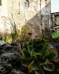 Jenny Mera (@jenny.mera.dg) • Instagram photos and videos