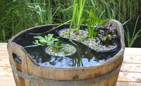 So Legen Sie Einen Miniteich Richtig An Miniteich Miniteich Anlegen Gartenteich