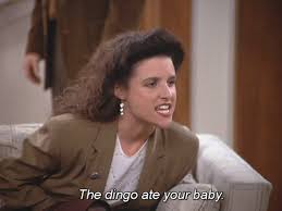 Elaine Benes Maybe The Dingo Ate Your Baby Seinfeld Funny Seinfeld Quotes Seinfeld