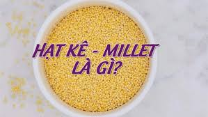 We did not find results for: Háº¡t Ke Millet La Háº¡t Gi Äƒn Co Bá»‹ Dá»‹ á»©ng Khong Háº¡t Ke Ban á»Ÿ Ä'au
