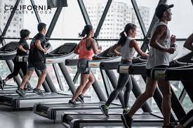 Tập luyện dễ dàng hơn với. Top 13 Phong Táº­p Gym Cháº¥t LÆ°á»£ng Nháº¥t Khu Vá»±c Cáº§u Giáº¥y Ha Ná»™i Toplist Vn