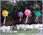 Birthday Party Outdoor Simple Balloon Decoration
