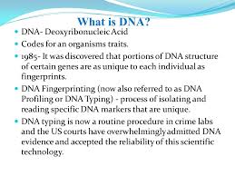 Bioinformatics has made the task. The Case Of The Crown Jewels Investigate A Crime Scene Using Dna Restriction Analysis Dna Fingerprinting Ppt Download