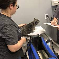 Our usually psychotic dog has obviously been well treated and happy. Affordable Pet Vet Clinic 72 Photos 295 Reviews Veterinarians 2630 S Tracy Blvd Tracy Ca Phone Number
