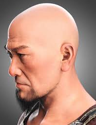 Scraggly Beard for Genesis 9 and 8.1 Male