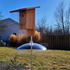 The triangle bluebird house is an attractive design that isn't hard to build. A Simple One Board Cedar Bluebird House Growit Buildit