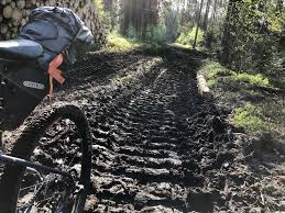 Wenn Die Heide Nicht Bluht Bikepacking Heidschnuckenweg Velo Voyage Voyage